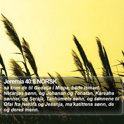 Jeremia 40:8 NORSK Bible Verse Image