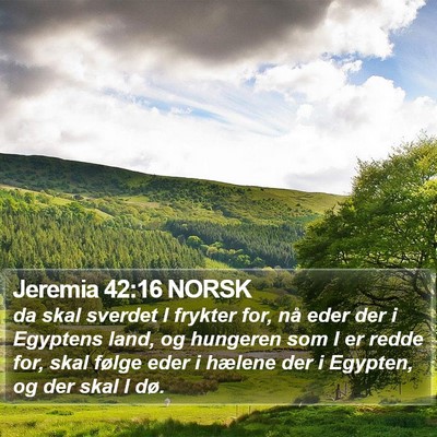 Jeremia 42:16 NORSK Bible Verse Image