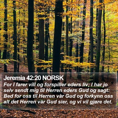 Jeremia 42:20 NORSK Bible Verse Image