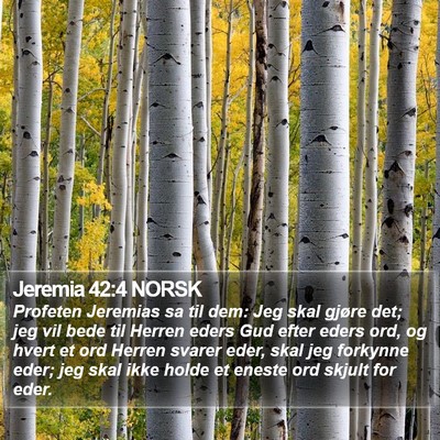 Jeremia 42:4 NORSK Bible Verse Image
