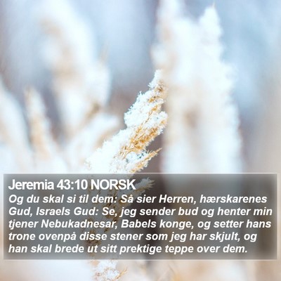 Jeremia 43:10 NORSK Bible Verse Image