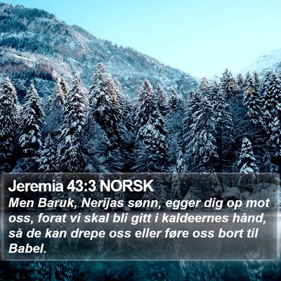 Jeremia 43:3 NORSK Bible Verse Image