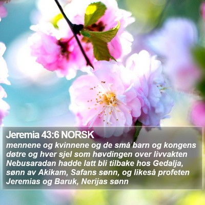 Jeremia 43:6 NORSK Bible Verse Image