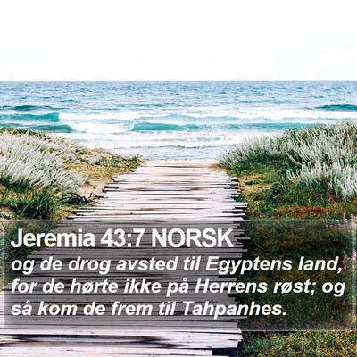 Jeremia 43:7 NORSK Bible Verse Image