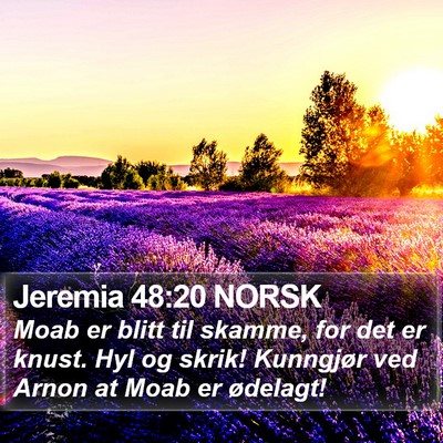 Jeremia 48:20 NORSK Bible Verse Image