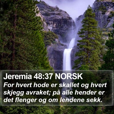 Jeremia 48:37 NORSK Bible Verse Image