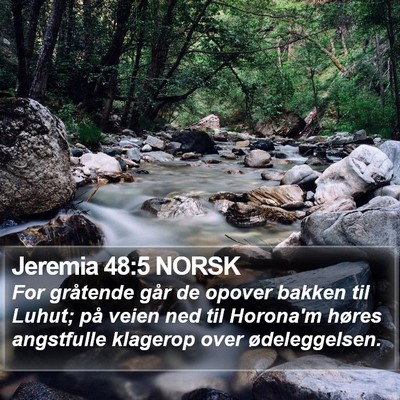 Jeremia 48:5 NORSK Bible Verse Image