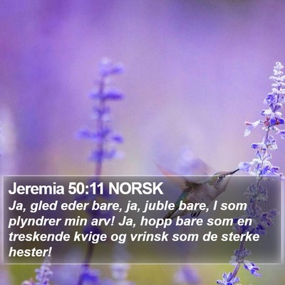 Jeremia 50:11 NORSK Bible Verse Image