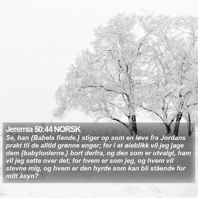 Jeremia 50:44 NORSK Bible Verse Image
