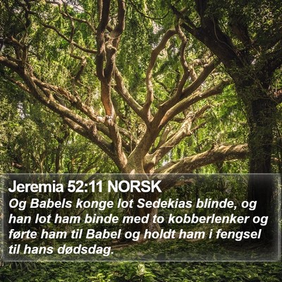 Jeremia 52:11 NORSK Bible Verse Image