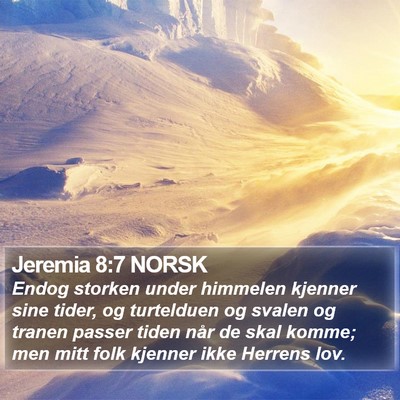 Jeremia 8:7 NORSK Bible Verse Image