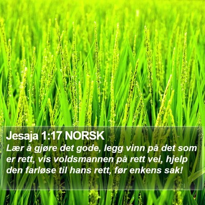 Jesaja 1:17 NORSK Bible Verse Image