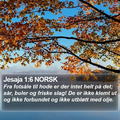 Jesaja 1:6 NORSK Bible Verse Image