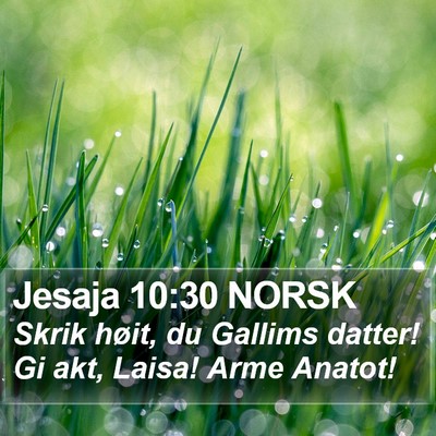 Jesaja 10:30 NORSK Bible Verse Image