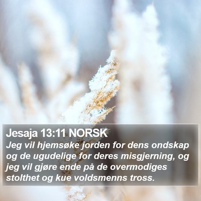 Jesaja 13:11 NORSK Bible Verse Image
