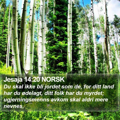 Jesaja 14:20 NORSK Bible Verse Image