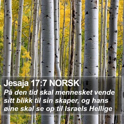 Jesaja 17:7 NORSK Bible Verse Image