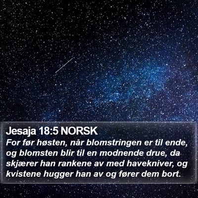 Jesaja 18:5 NORSK Bible Verse Image