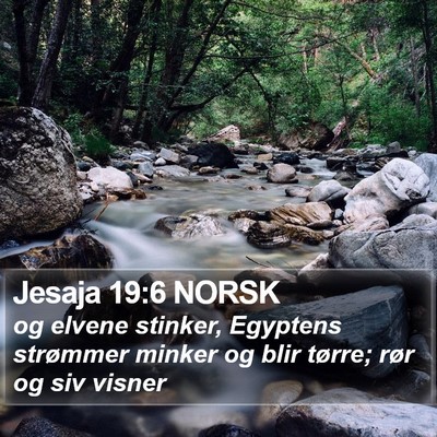 Jesaja 19:6 NORSK Bible Verse Image