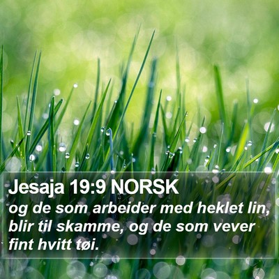 Jesaja 19:9 NORSK Bible Verse Image