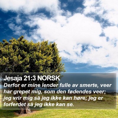 Jesaja 21:3 NORSK Bible Verse Image