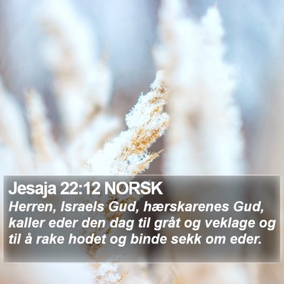 Jesaja 22:12 NORSK Bible Verse Image