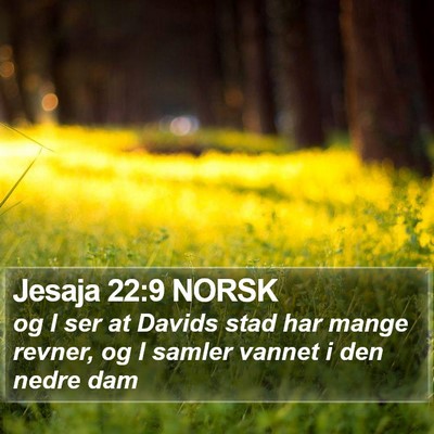 Jesaja 22:9 NORSK Bible Verse Image