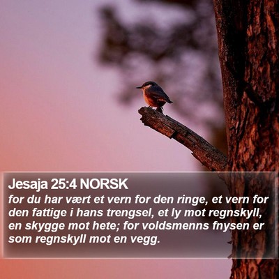 Jesaja 25:4 NORSK Bible Verse Image