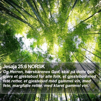 Jesaja 25:6 NORSK Bible Verse Image