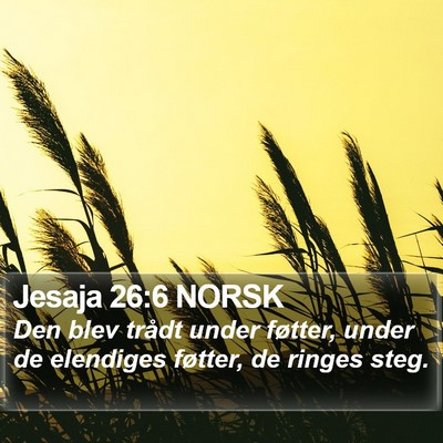 Jesaja 26:6 NORSK Bible Verse Image