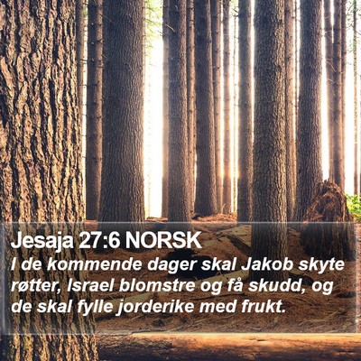 Jesaja 27:6 NORSK Bible Verse Image