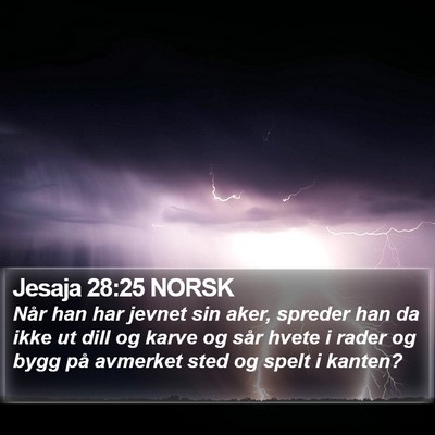 Jesaja 28:25 NORSK Bible Verse Image
