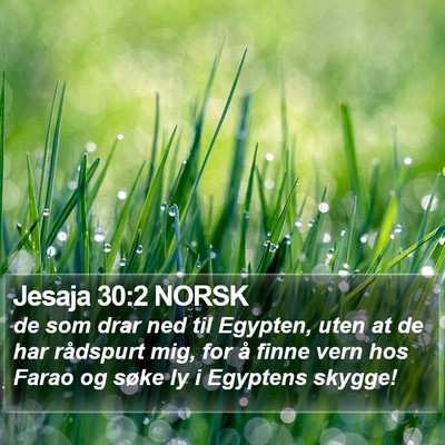 Jesaja 30:2 NORSK Bible Verse Image