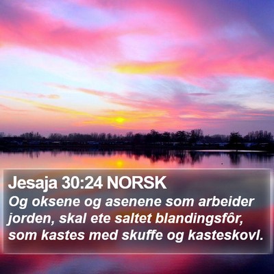 Jesaja 30:24 NORSK Bible Verse Image