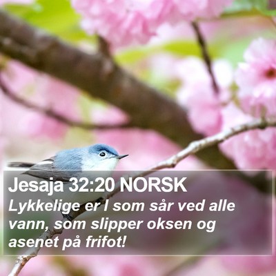 Jesaja 32:20 NORSK Bible Verse Image