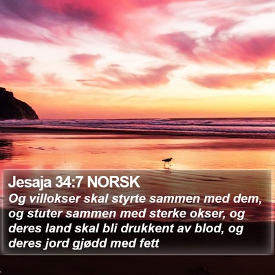 Jesaja 34:7 NORSK Bible Verse Image