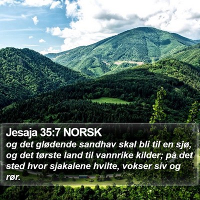 Jesaja 35:7 NORSK Bible Verse Image