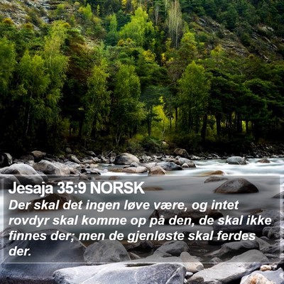 Jesaja 35:9 NORSK Bible Verse Image