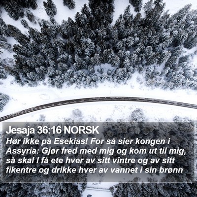 Jesaja 36:16 NORSK Bible Verse Image