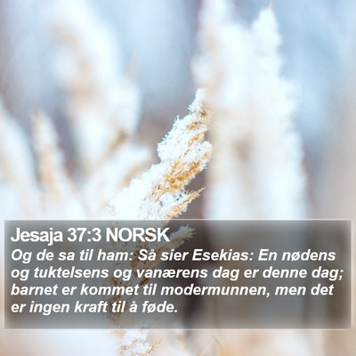 Jesaja 37:3 NORSK Bible Verse Image