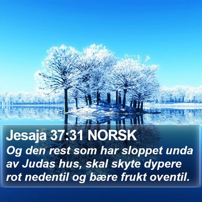 Jesaja 37:31 NORSK Bible Verse Image