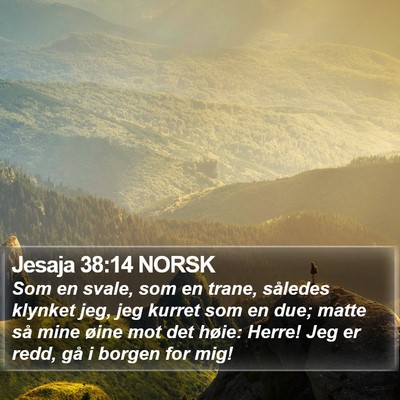 Jesaja 38:14 NORSK Bible Verse Image