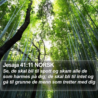 Jesaja 41:11 NORSK Bible Verse Image