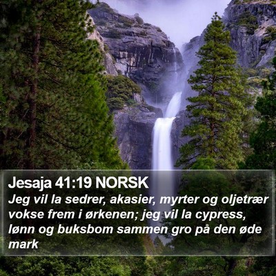 Jesaja 41:19 NORSK Bible Verse Image