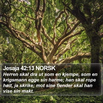Jesaja 42:13 NORSK Bible Verse Image