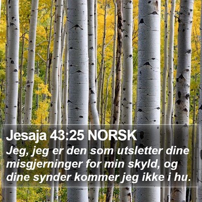 Jesaja 43:25 NORSK Bible Verse Image