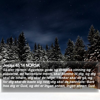 Jesaja 45:14 NORSK Bible Verse Image