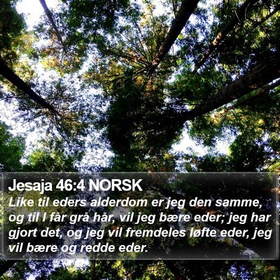 Jesaja 46:4 NORSK Bible Verse Image