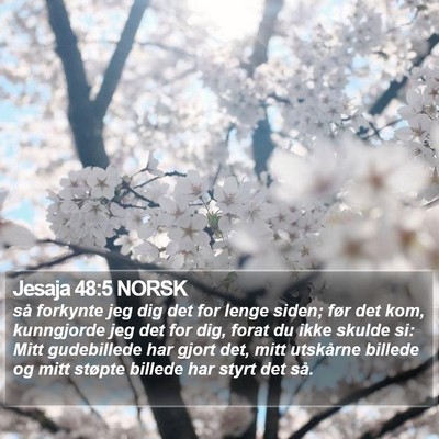 Jesaja 48:5 NORSK Bible Verse Image