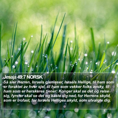Jesaja 49:7 NORSK Bible Verse Image